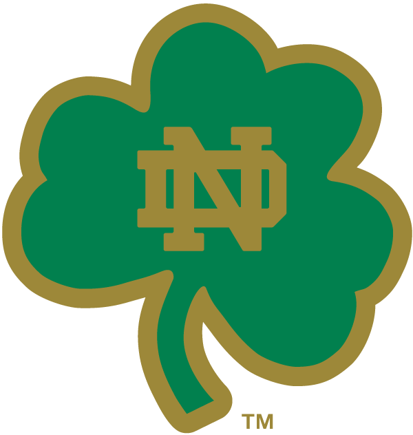 Notre Dame Fighting Irish 1994-Pres Alternate Logo v15 diy fabric transfer